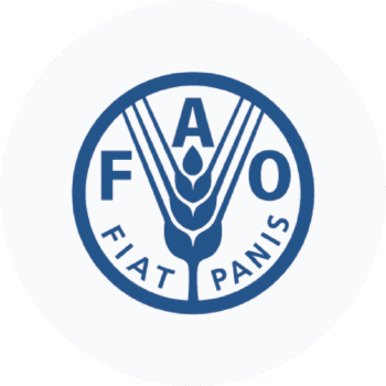 FAO
