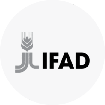 IFAD